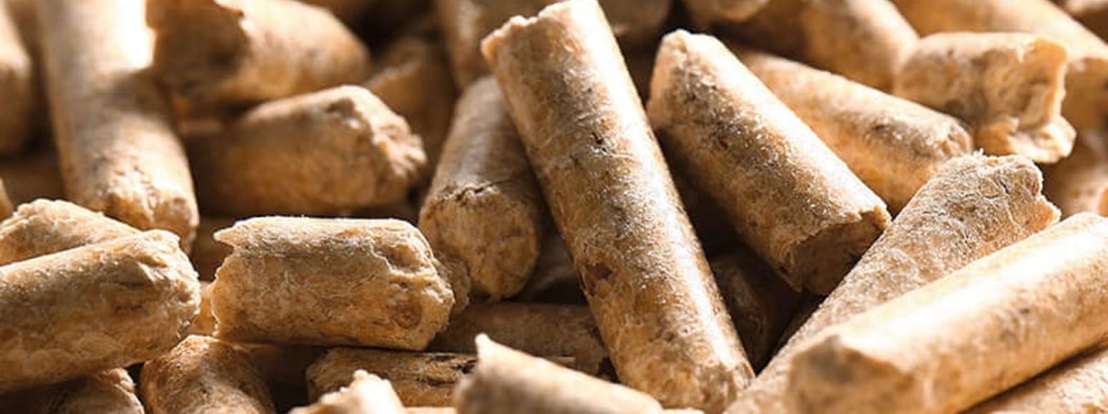 Biomass Insight