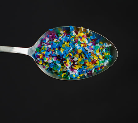 Microplastic ingestion